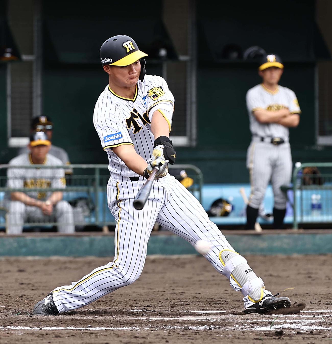 紅白戦　6回裏白組2死、森下は投ゴロに倒れる（撮影・上田博志）