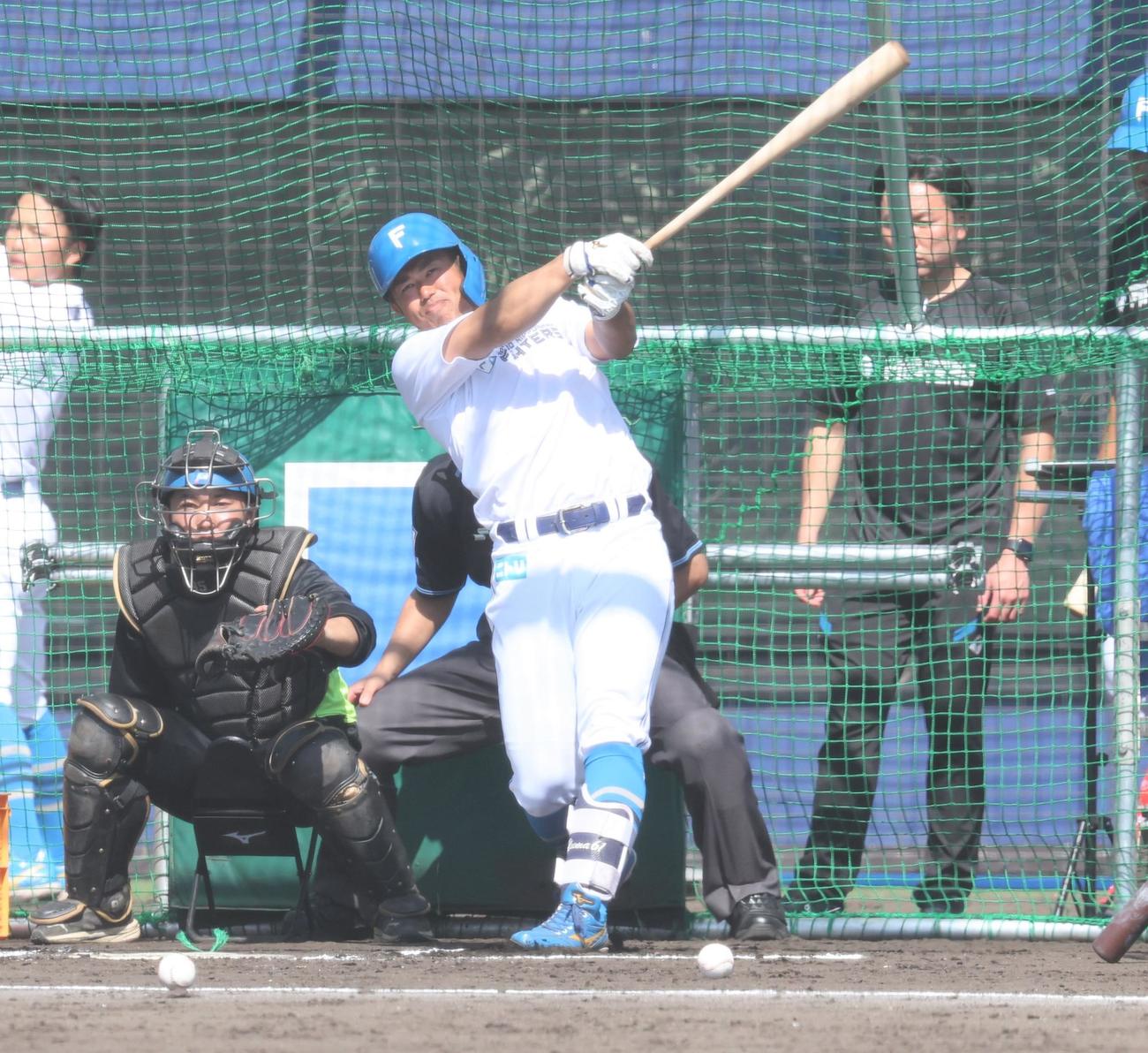 フリー打撃する日本ハム今川（撮影・黒川智章）