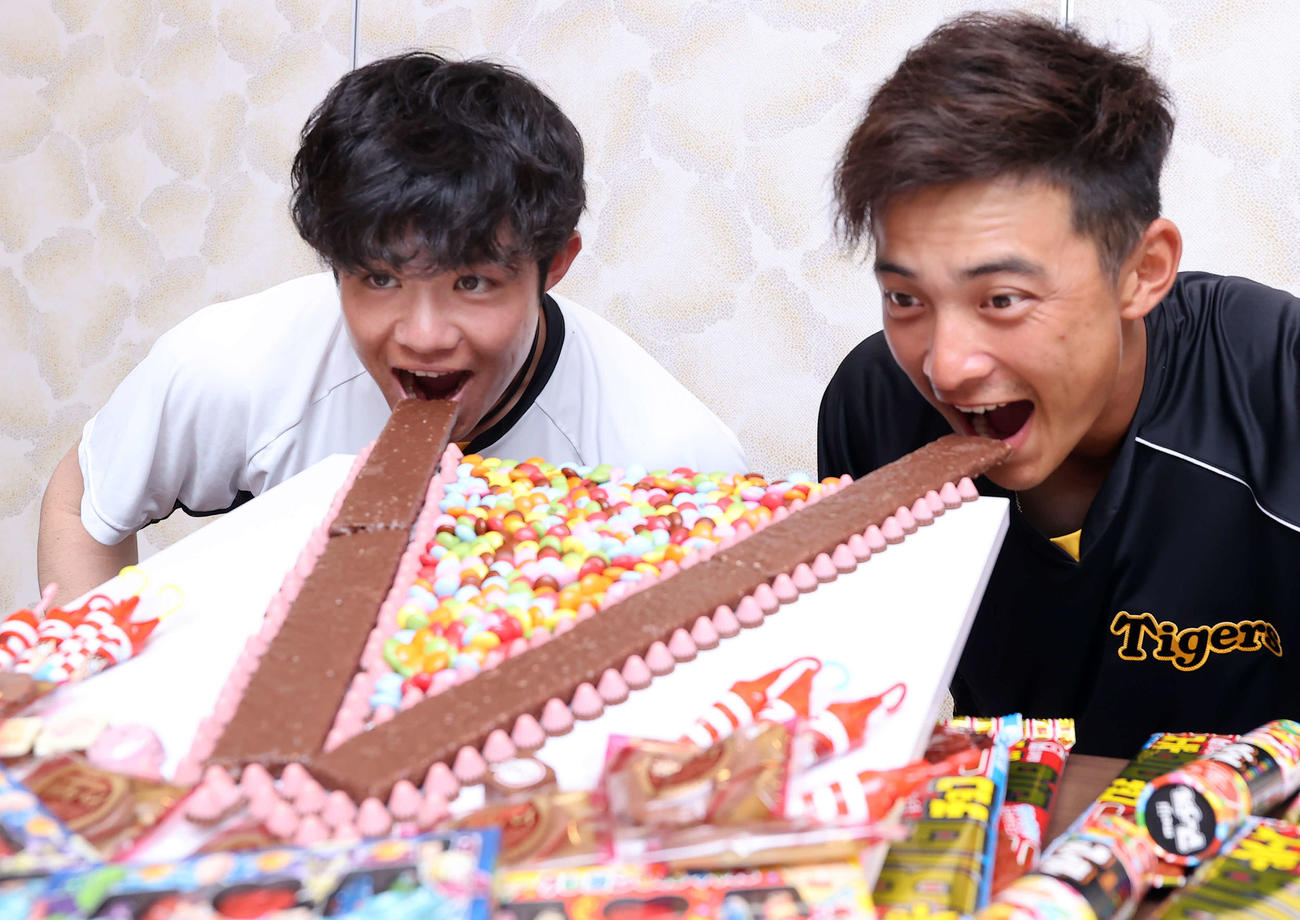 巨大Vチョコレートにかぶりつく阪神中野（左）と熊谷（撮影・上山淳一）
