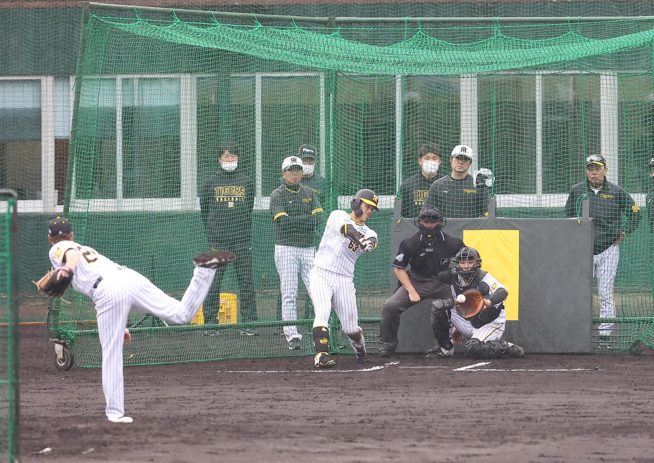 特打に登板するBケラー（手前）を見る岡田彰布監督（撮影・上山淳一）
