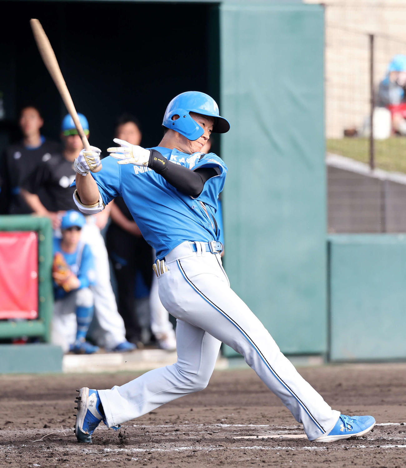日本ハム矢沢宏太（2023年2月12日撮影）