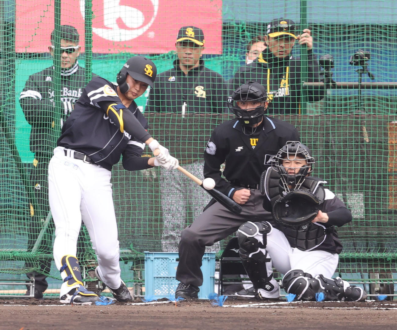 ソフトバンク生海（2023年2月4日撮影）