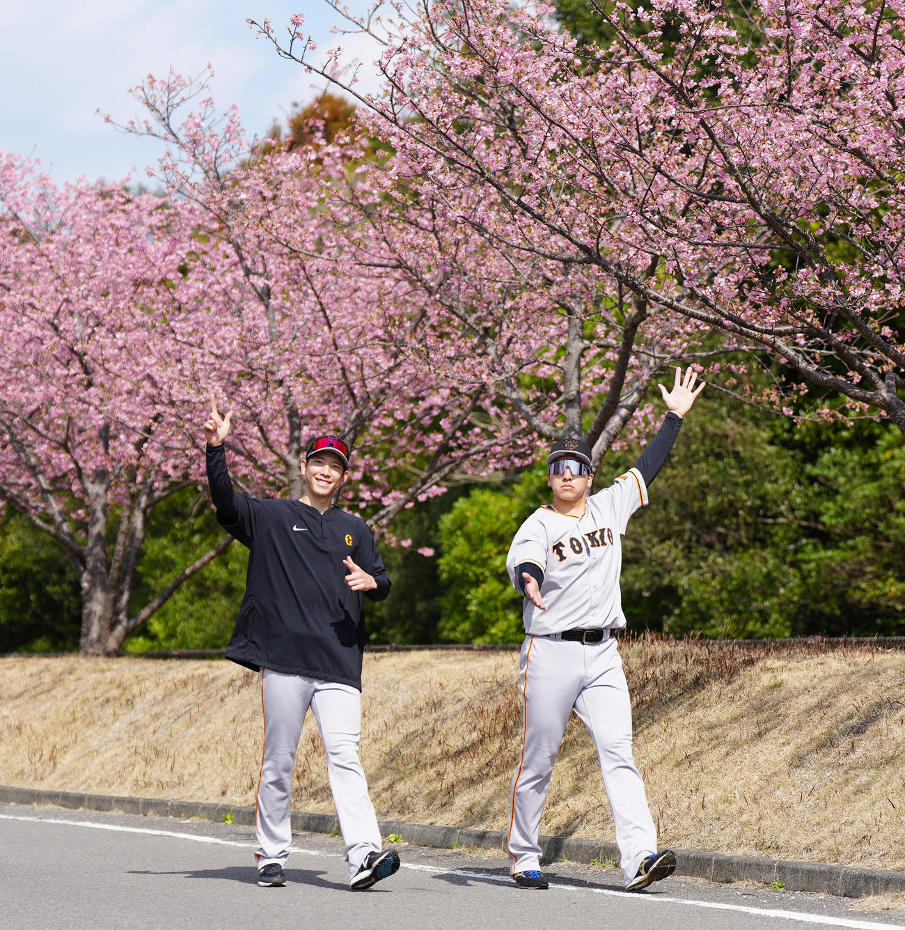 河津桜を背にポーズを決める巨人戸郷（左）と大勢（撮影・江口和貴）
