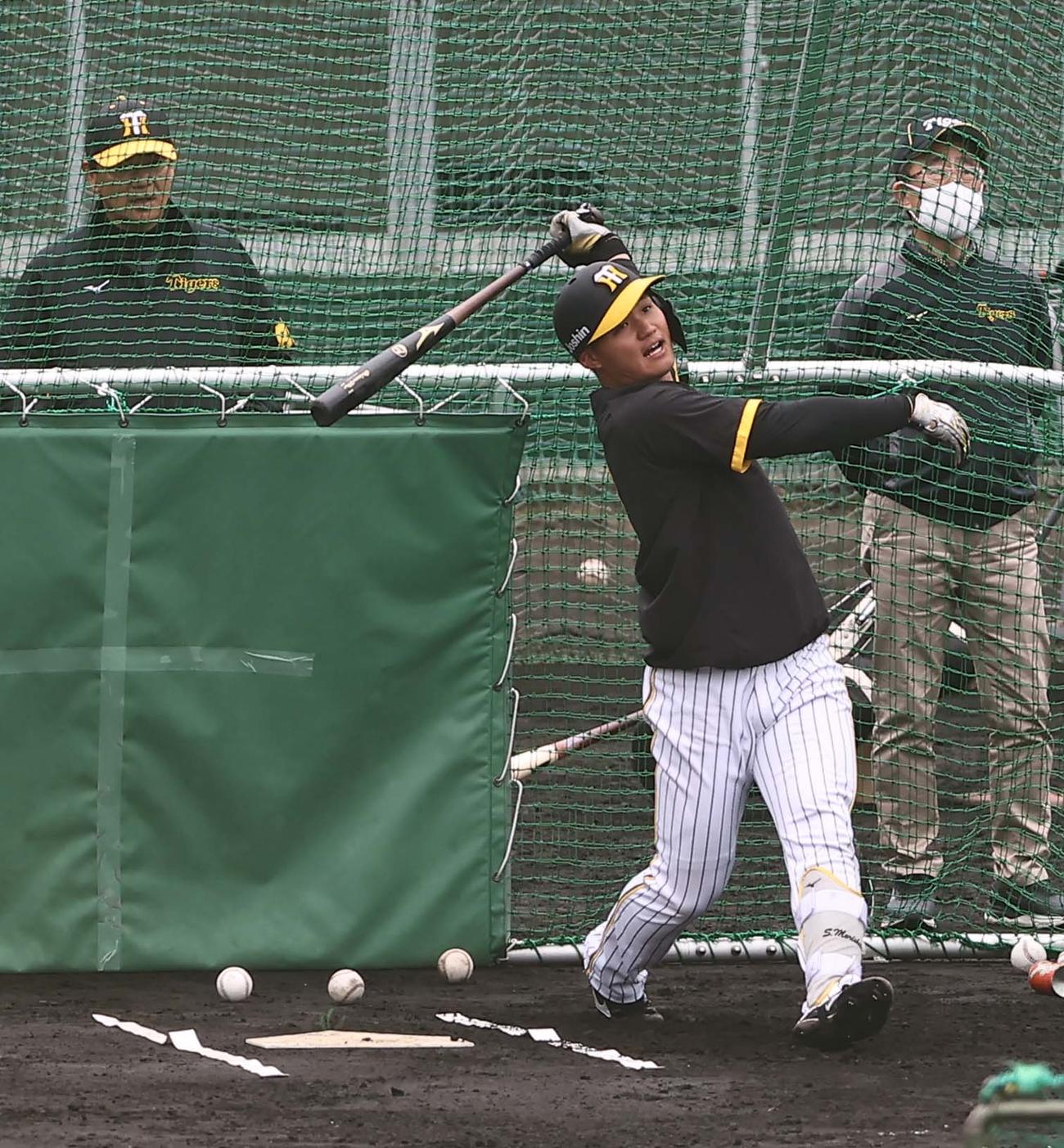 フリー打撃練習に励む森下（撮影・上田博志）