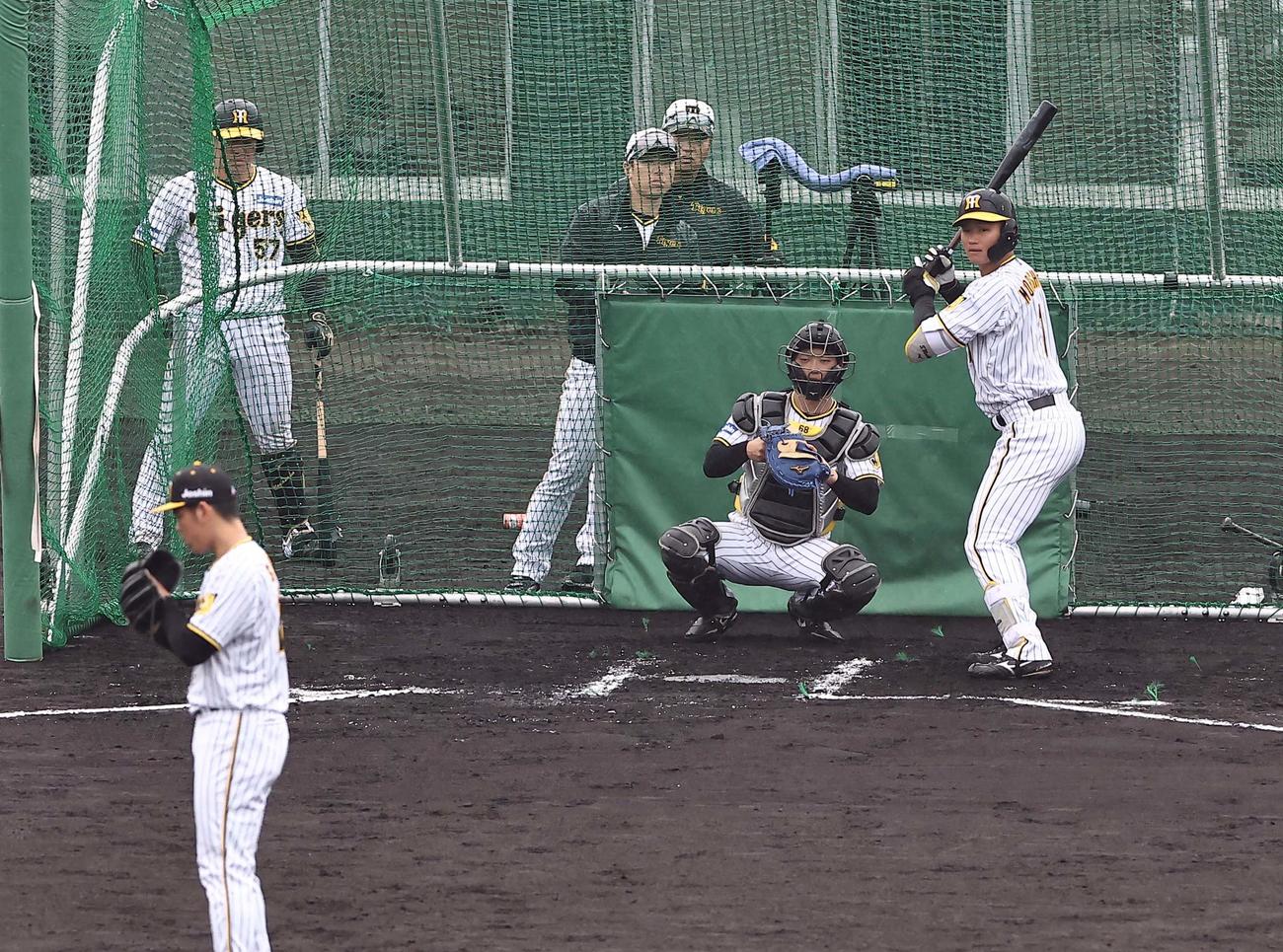 ケース打撃練習で打席に立つ森下（撮影・上田博志）