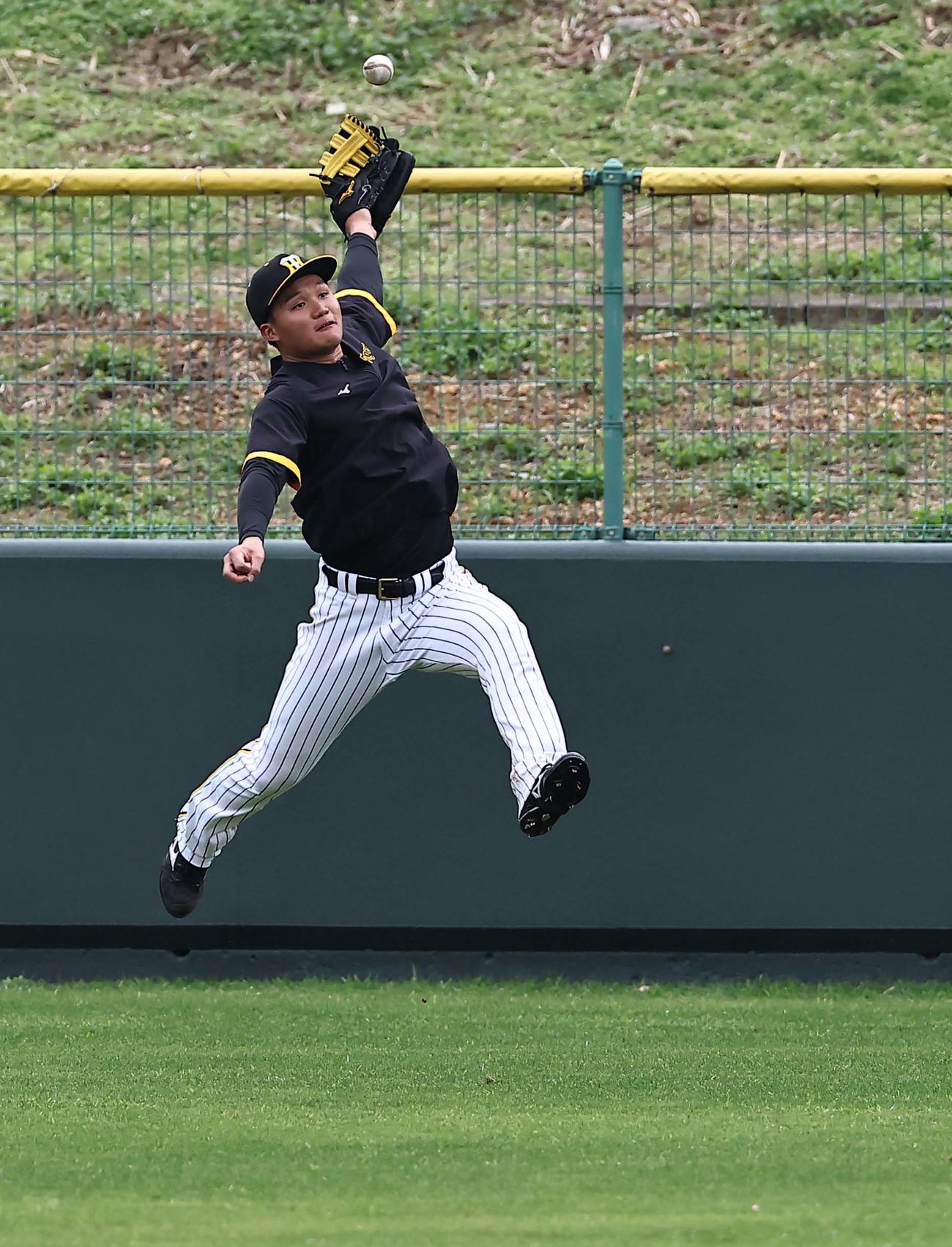 右翼守備練習でボールに飛びつく森下（撮影・上田博志）
