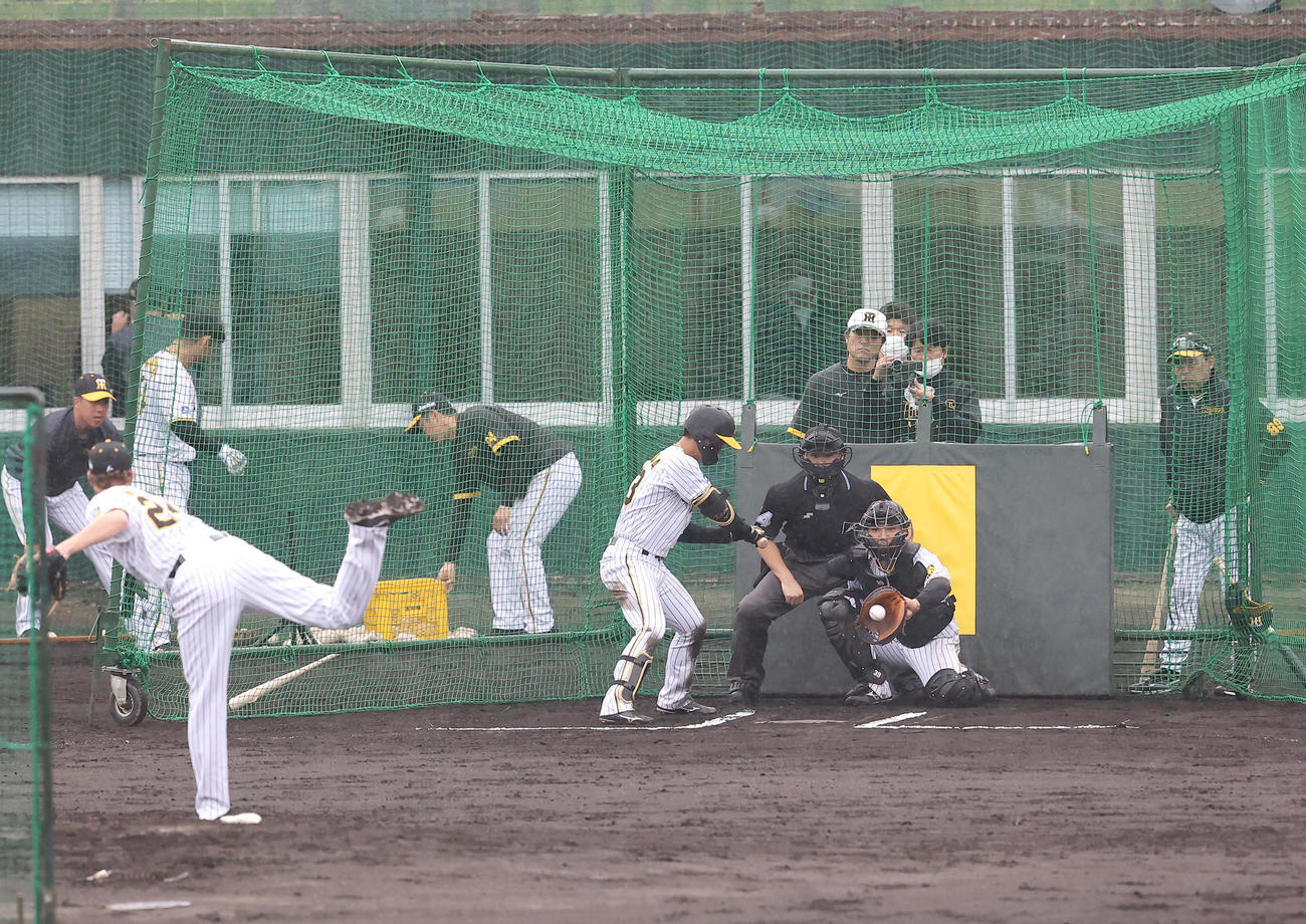 岡田監督（右）はB・ケラー（手前）の投球を確認する（撮影・上山淳一）