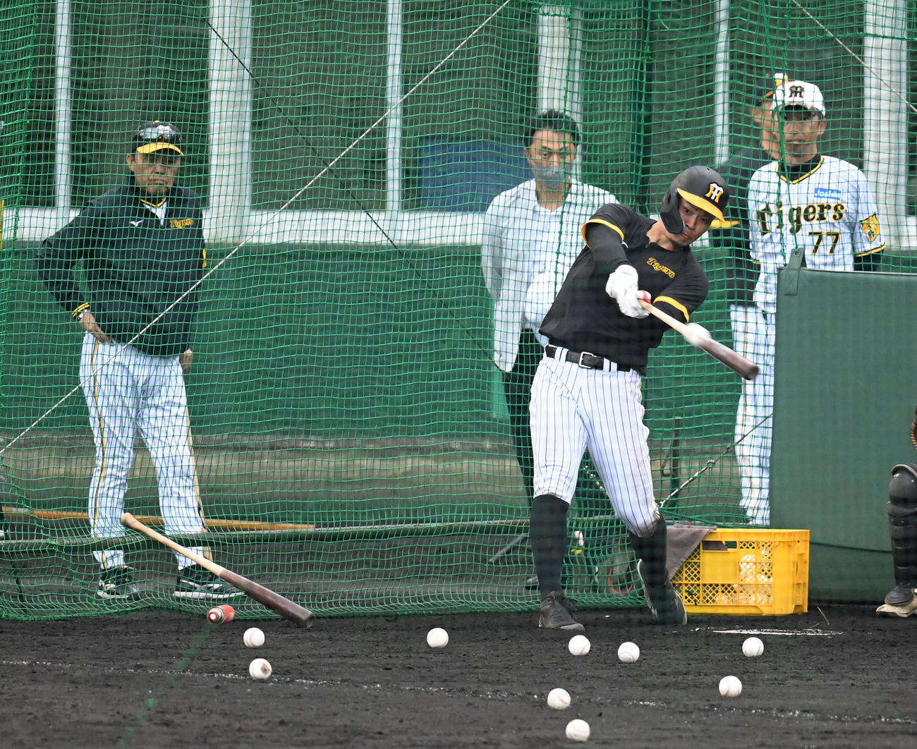 岡田監督（左）が見守る中、打撃練習を行う佐藤輝（撮影・前岡正明）