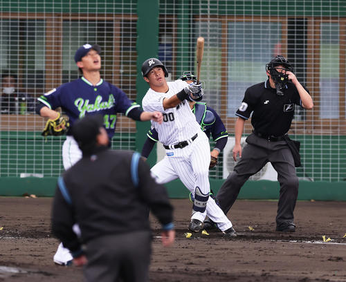 ロッテ対ヤクルト 4回裏ロッテ無死一塁、池田は2点本塁打を放つ。投手高橋(撮影・足立雅史)