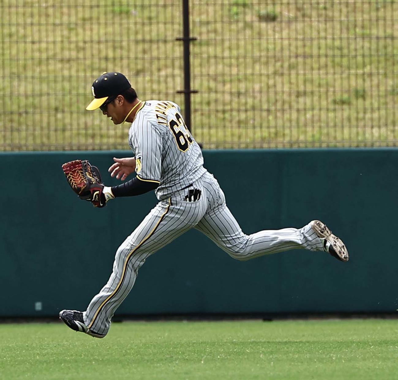 楽天対阪神　1回裏楽天無死一塁、板山は小深田の右飛を好捕する（撮影・上田博志）