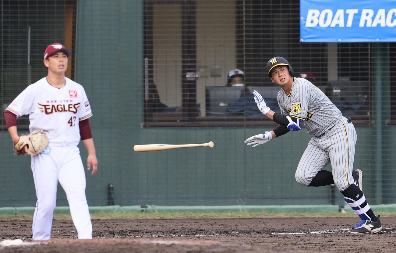 練習試合・楽天対阪神　7回表阪神1死一、二塁、代打井上は左越え3点本塁打を放つ（撮影・上山淳一）