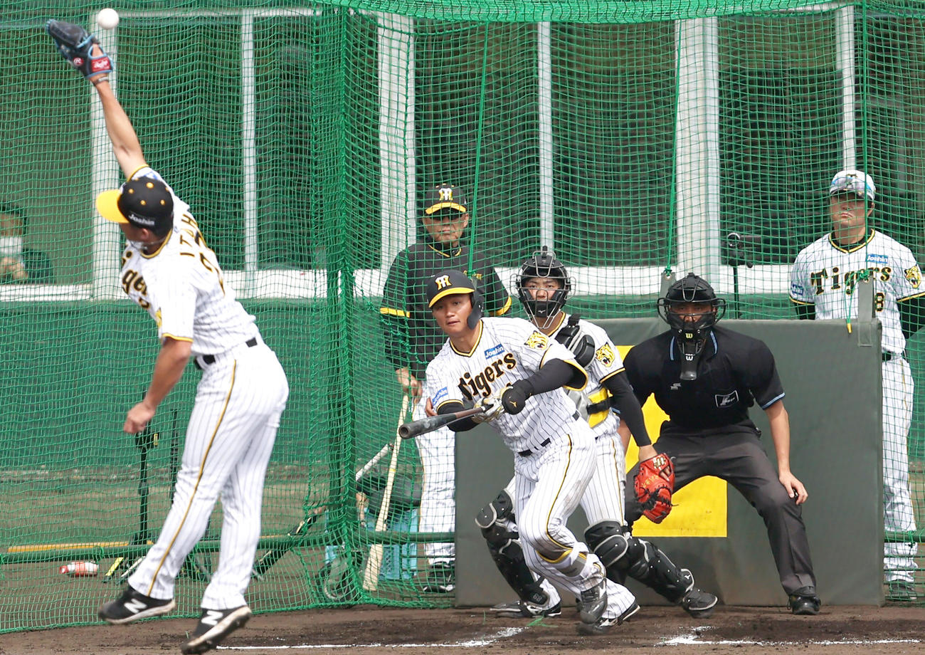 特打で伊藤将（手前）から中前打を放つ森下（撮影・上山淳一）