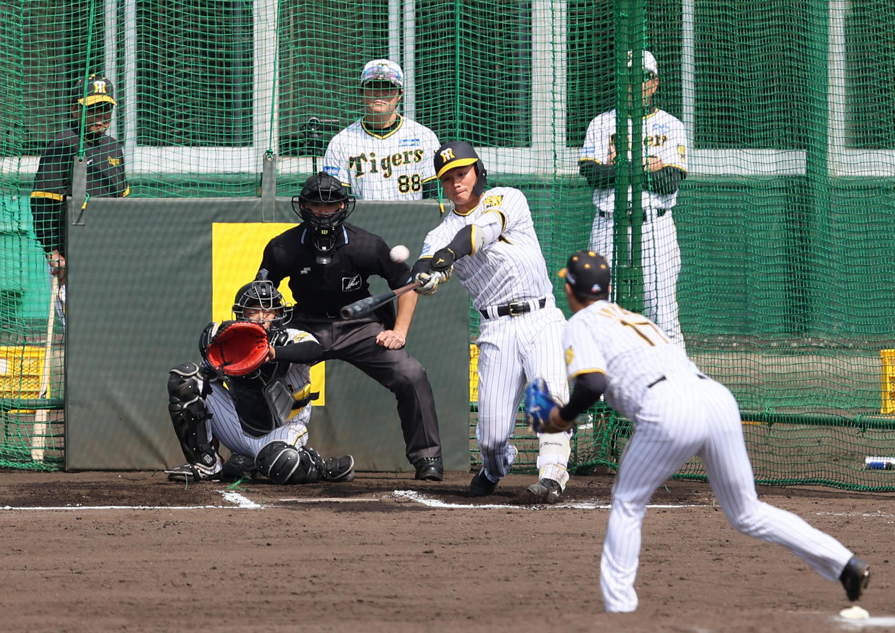 特打で青柳（手前）から左飛を放つ森下（撮影・上山淳一）