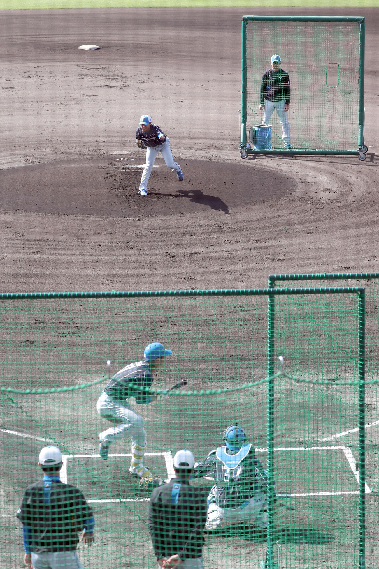 日本ハム江越に死球を与えてしまう打撃投手を務める矢沢（撮影・佐藤翔太）
