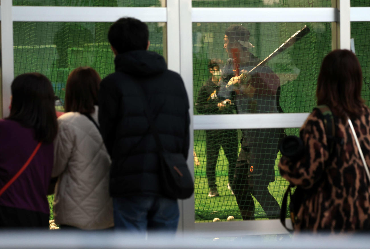 アーリーワークで、早朝から訪れたファンが見つめる中、打撃練習する巨人秋広（撮影・浅見桂子）