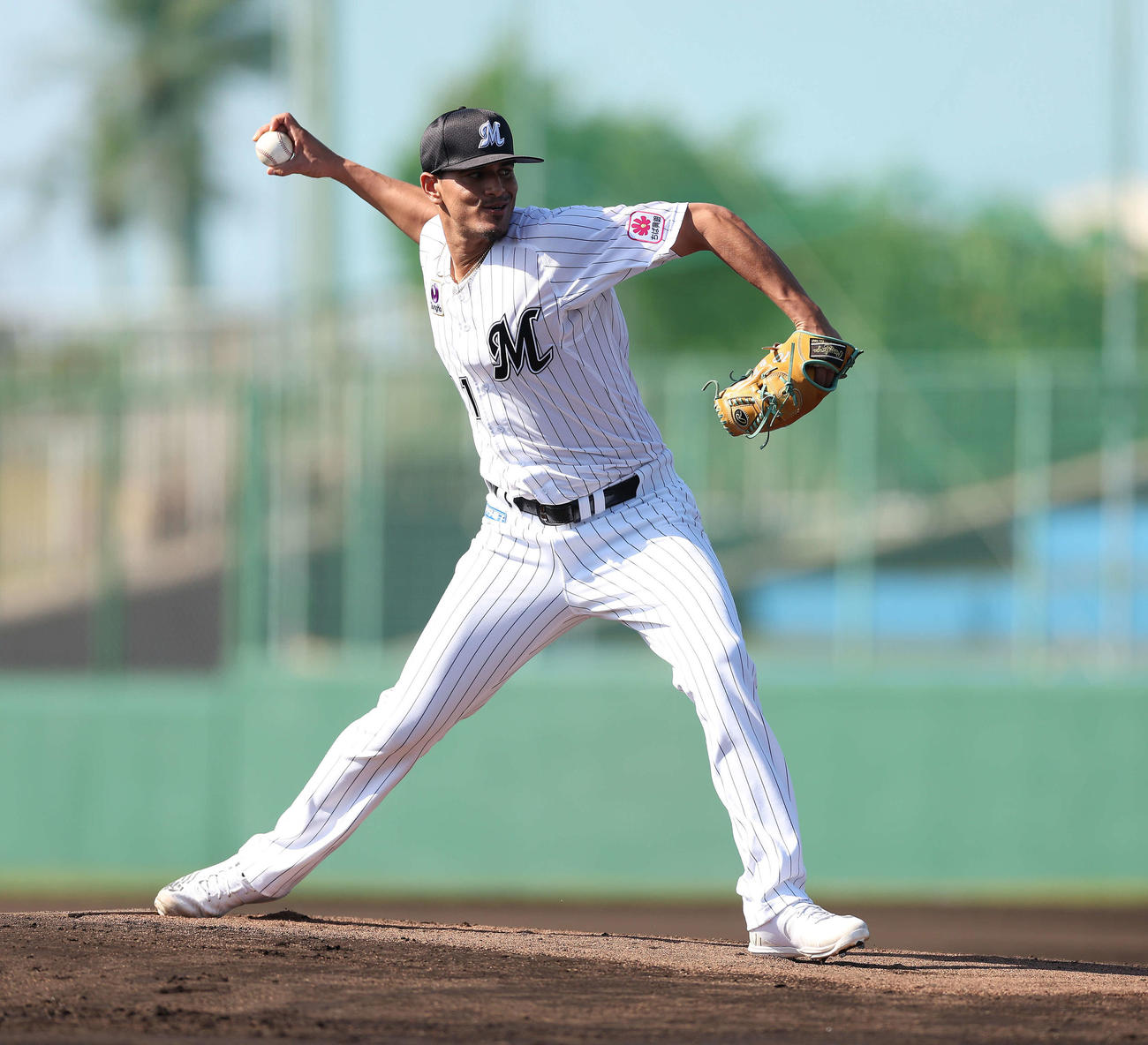 実戦形式の打撃練習で投球するロッテ・カスティーヨ（撮影・河田真司）