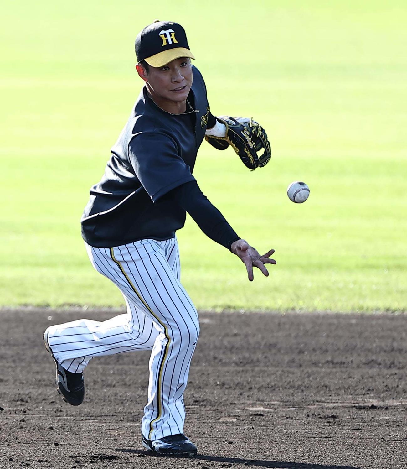 早出特守で遊撃守備練習をする木浪（撮影・上田博志）