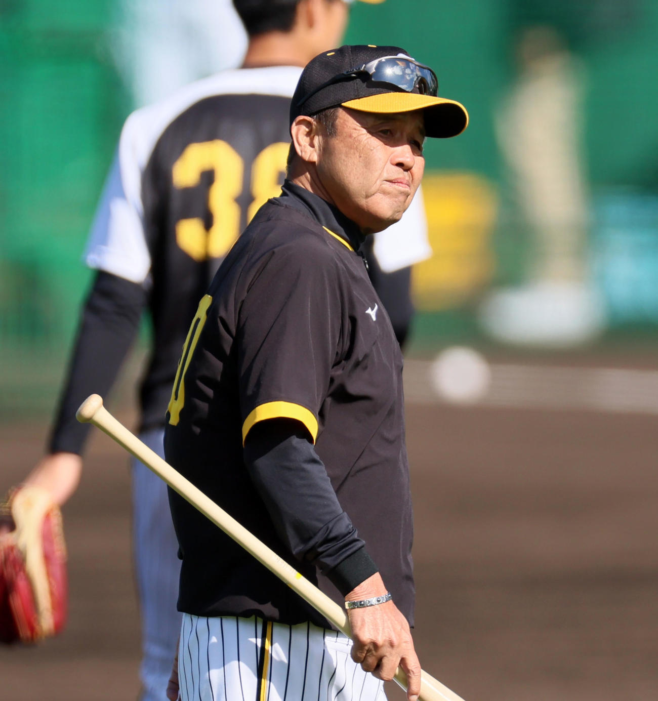 打撃練習の打球を確認する阪神岡田監督（撮影・加藤哉）