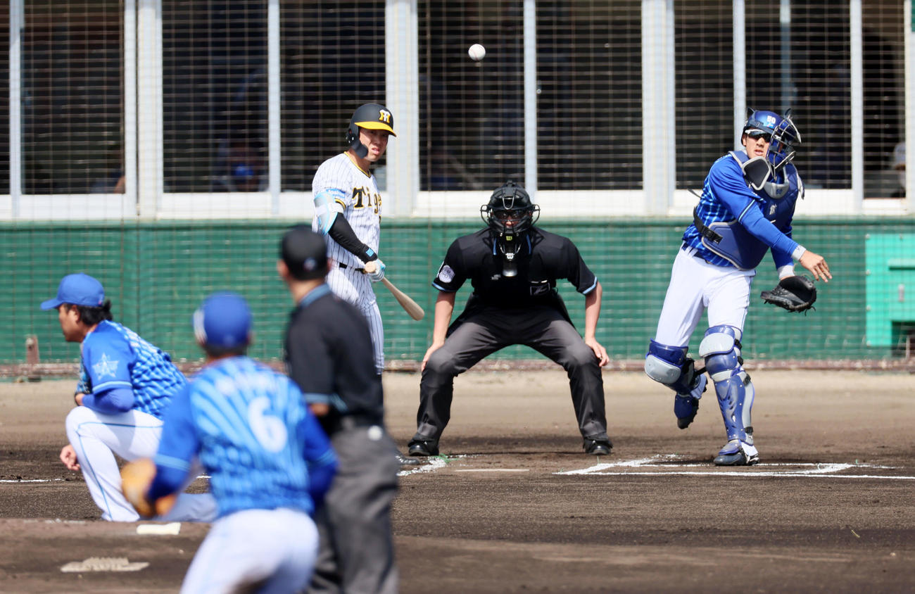 阪神対DeNA 1回裏阪神無死一塁、山本は一塁走者近本の二塁盗塁を刺す。打者糸原（撮影・加藤哉）