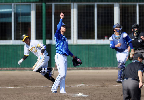 阪神対DeNA 7回裏阪神2死一、三塁、小園は井上を左飛に仕留めマウンドで腕を上げる(撮影・加藤哉)