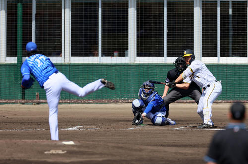 阪神対DeNA 3回裏阪神無死、森下は四球を選ぶ。投手は上茶谷(撮影・加藤哉)