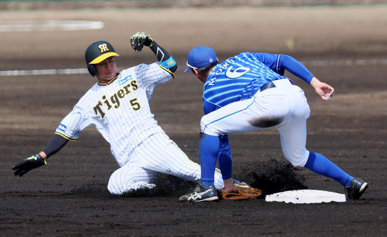 阪神対DeNA 1回裏阪神無死一塁、一塁走者近本は二塁盗塁失敗。野手は森（撮影・加藤哉）