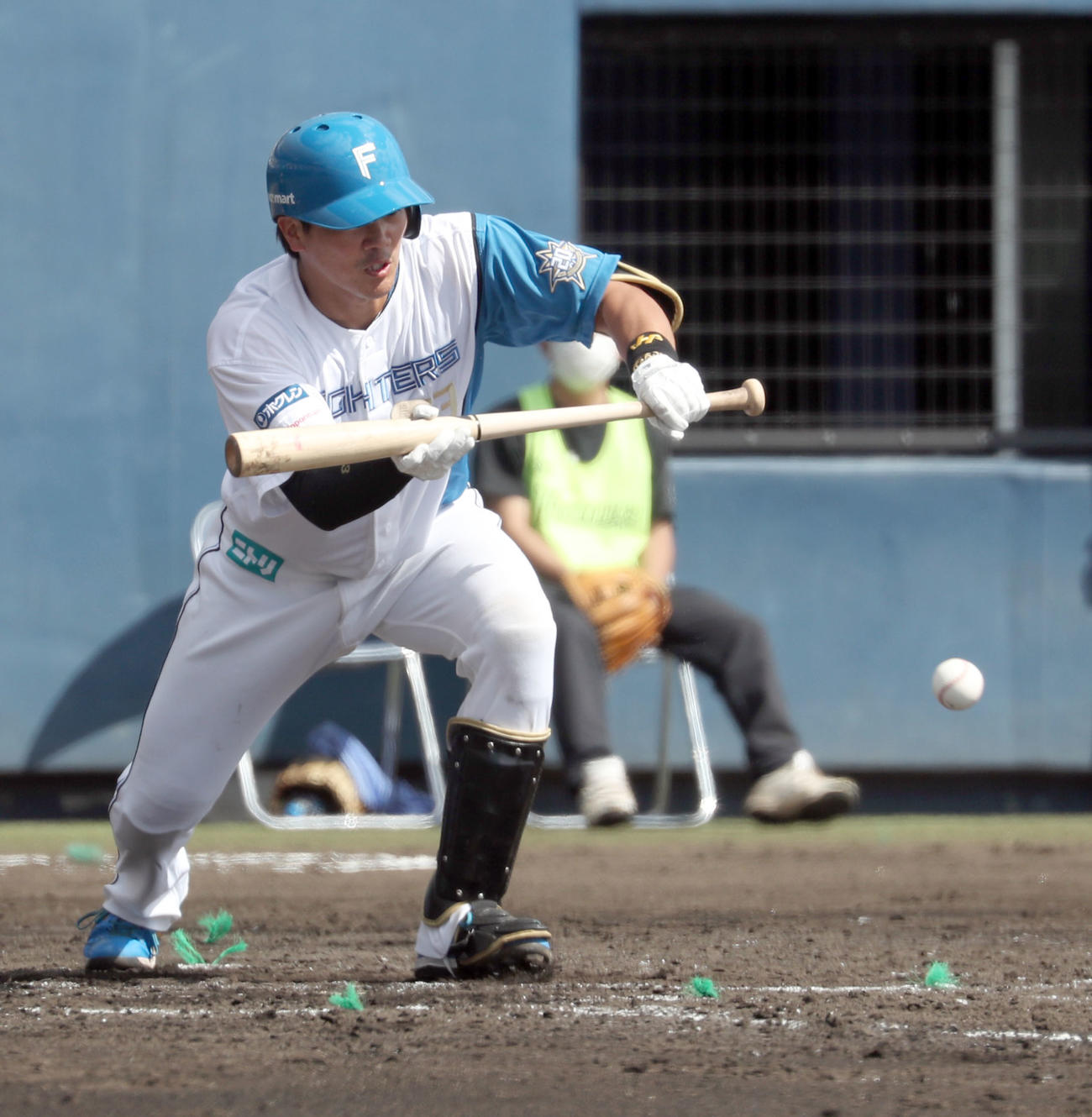 日本ハム対中日　2回裏日本ハム無死一塁、バントを失敗する伏見（撮影・佐藤翔太）