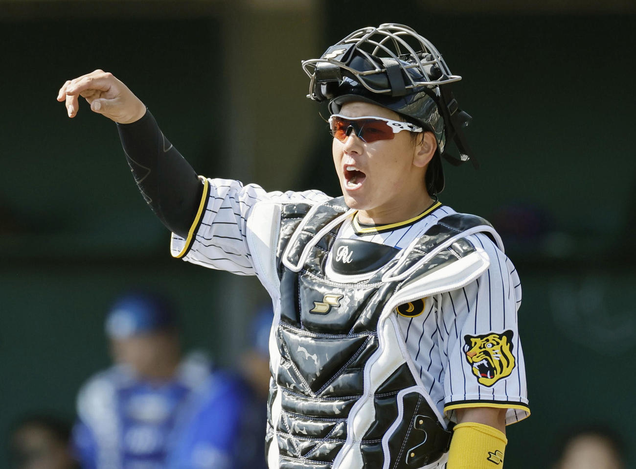 DeNAとの練習試合に出場した阪神梅野（共同）