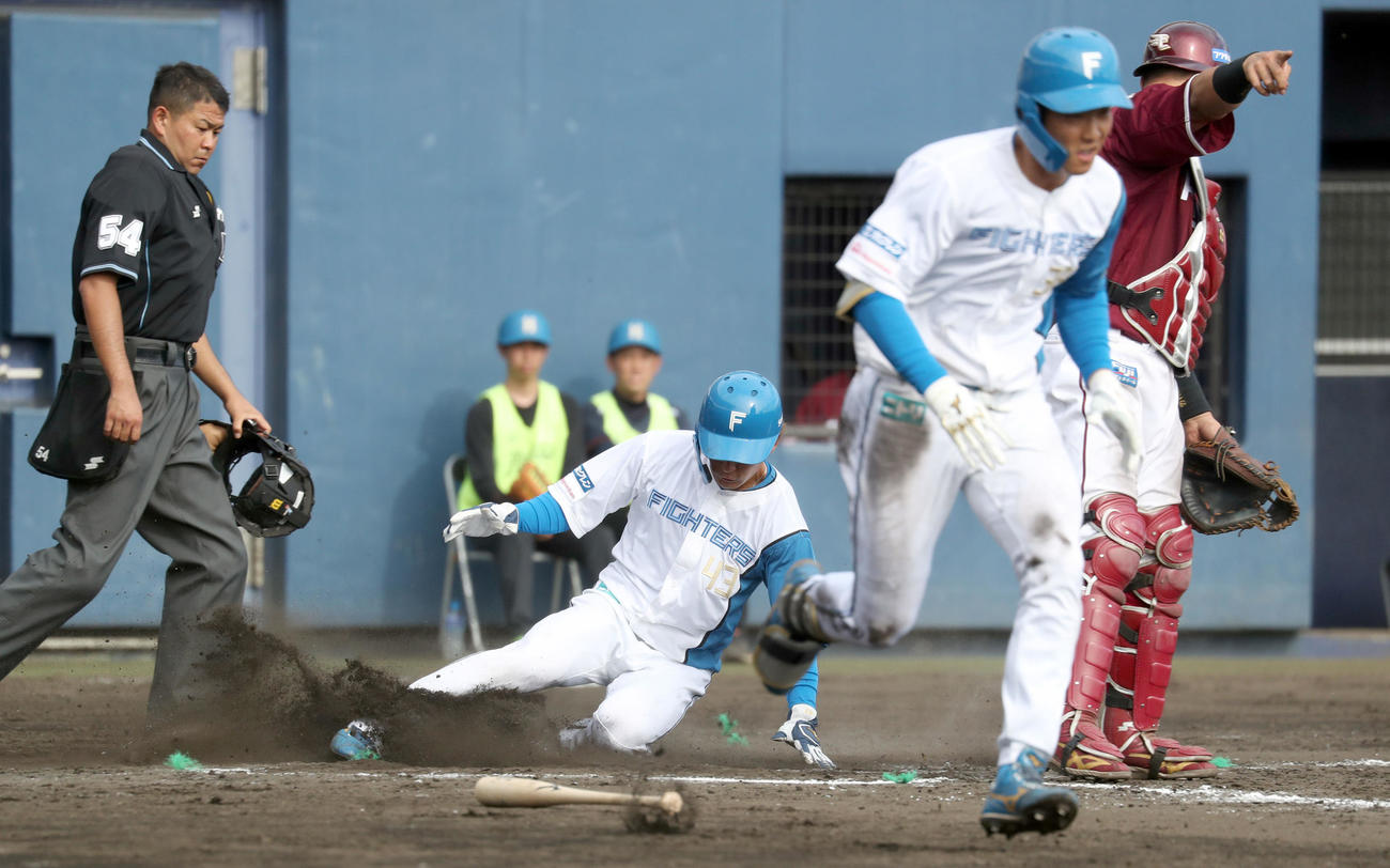 日本ハム対楽天　7回裏日本ハム1死三塁、石井のスクイズで生還する三走水野（撮影・佐藤翔太）