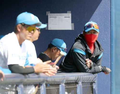 日本ハム対楽天　ベンチから乗り出す新庄監督（撮影・佐藤翔太）