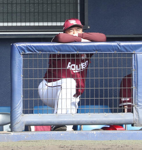 日本ハム対楽天　ベンチからグラウンドを見つめる石井M兼監督（撮影・佐藤翔太）