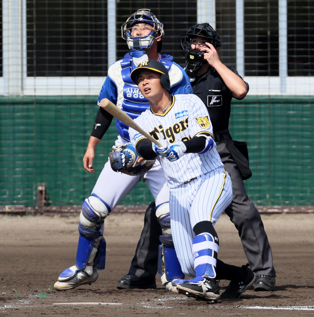 阪神対サムスン　4回裏阪神1死一、三塁、井上は右犠飛を打つ（撮影・加藤哉）