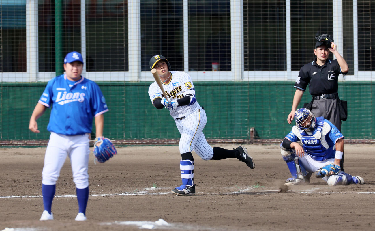 阪神対サムスン　7回裏阪神2死満塁、井上は左越え満塁本塁打を放つ（撮影・加藤哉）