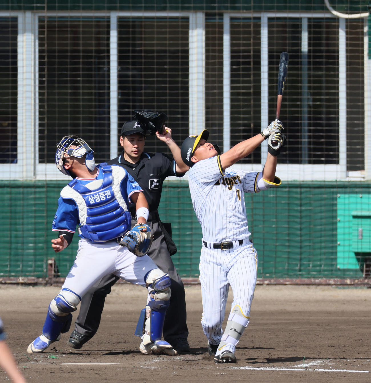 阪神対サムスン　5回裏阪神無死一塁、代打森下は捕邪飛を打ち上げる（撮影・加藤哉）