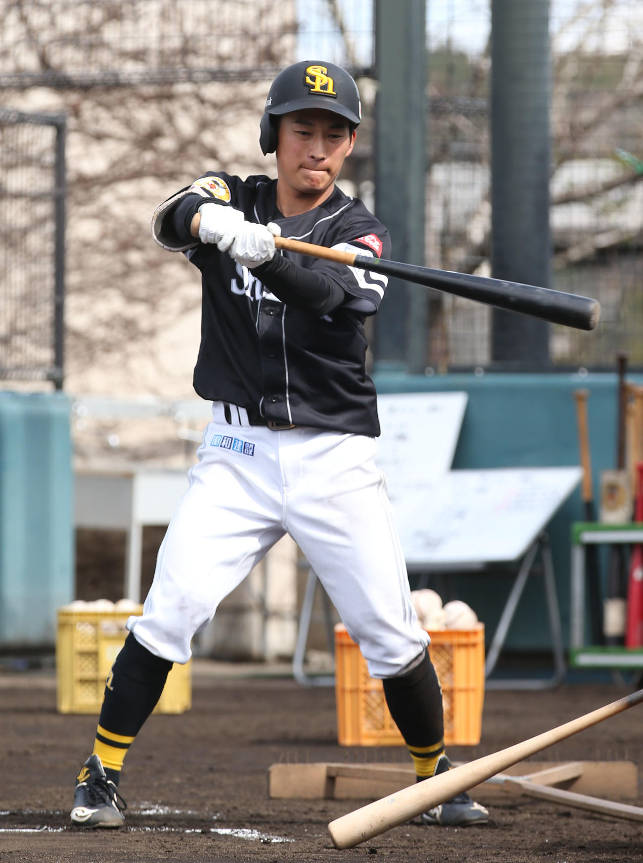 チーム打撃前に素振りをする西尾（撮影・屋方直哉）
