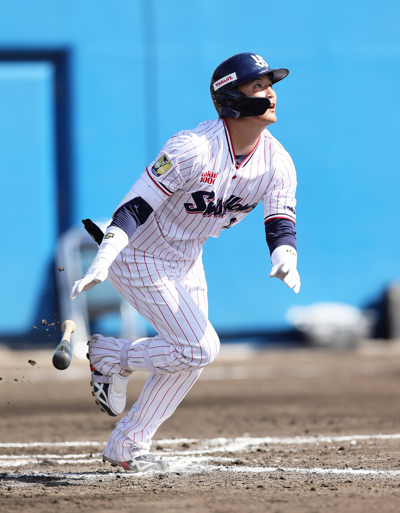 ヤクルト対ロッテ　6回裏ヤクルト1死、右越えにこの日2本目となる本塁打を放つ元山（撮影・足立雅史）