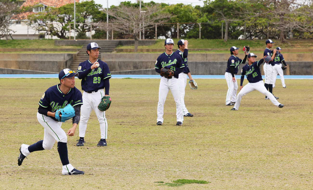 キャッチボールするヤクルトの、左から石川、小川、吉村ら（撮影・足立雅史）