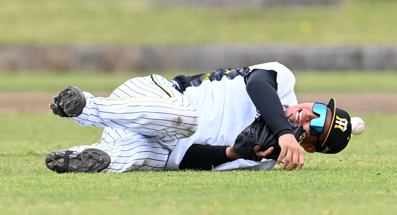 強風の中で外野守備練習を行う森下（撮影・前岡正明）