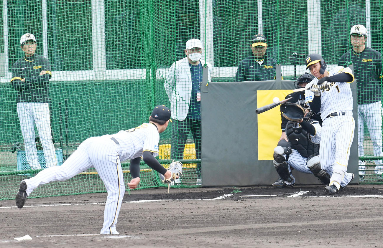 実戦形式の打撃練習で岩崎と対戦した森下はバットを折られる（撮影・前岡正明）