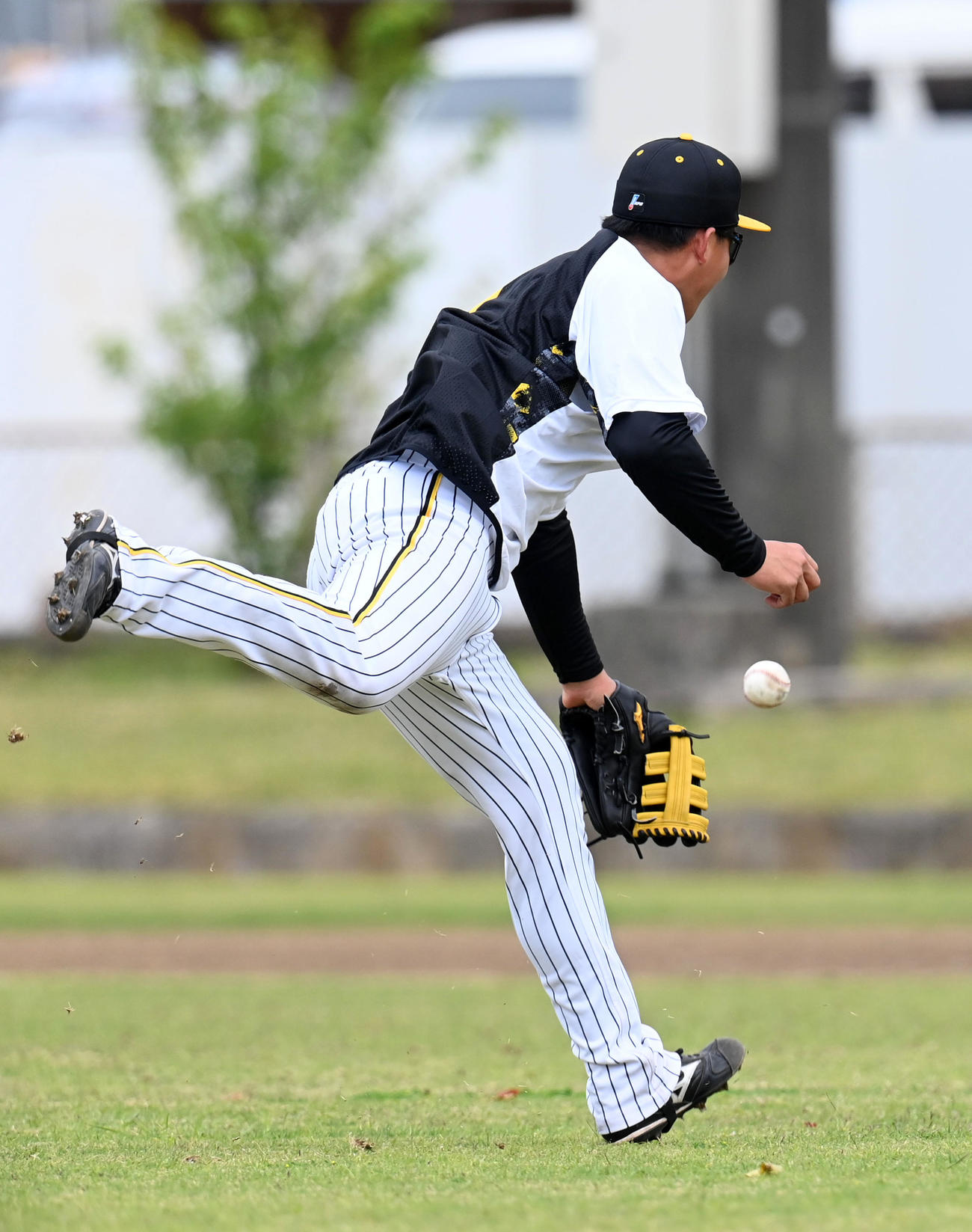 強風の中で外野守備練習を行う森下（撮影・前岡正明）