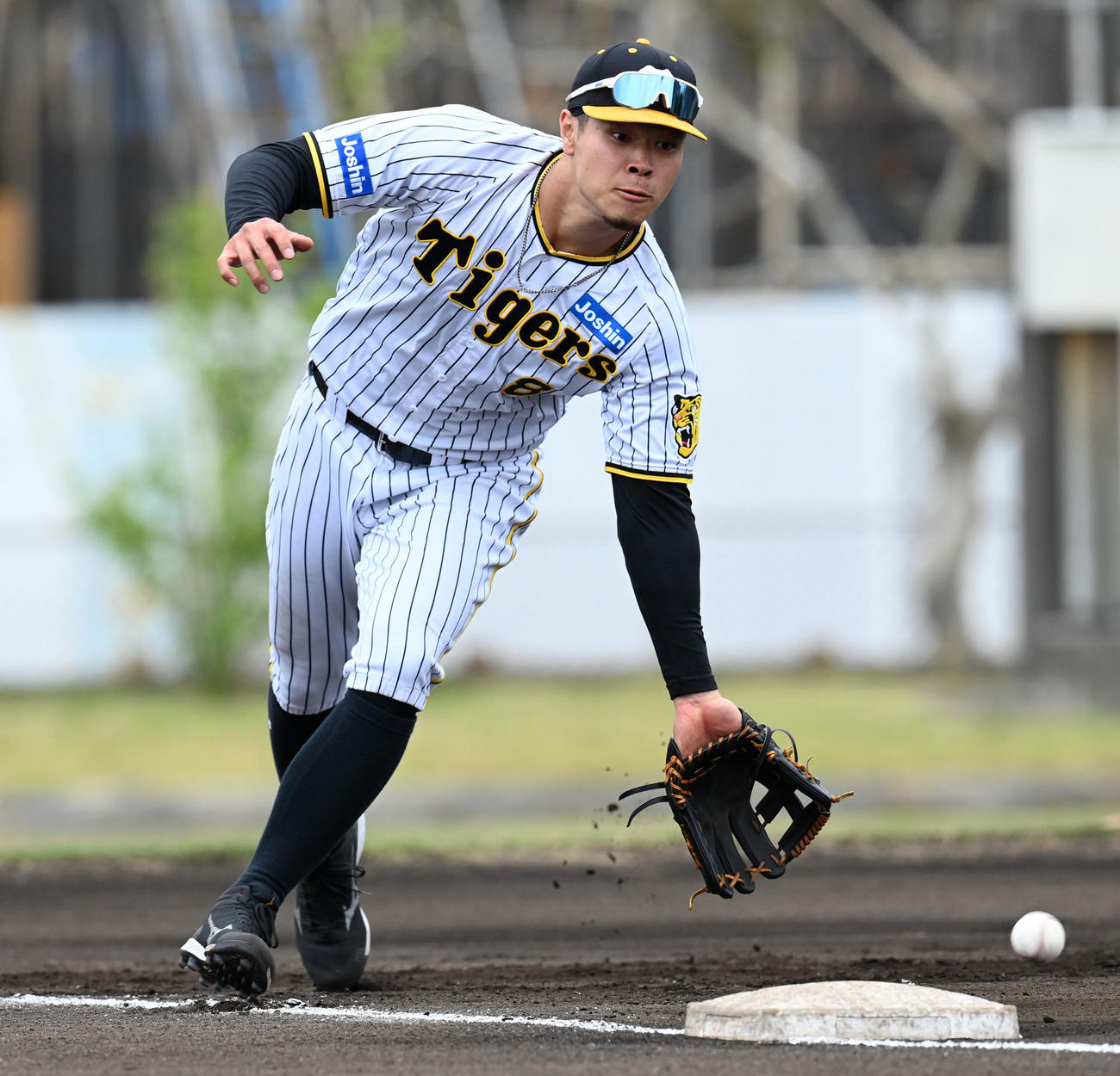 三塁守備練習で軽快な動きを見せる佐藤輝（撮影・前岡正明）