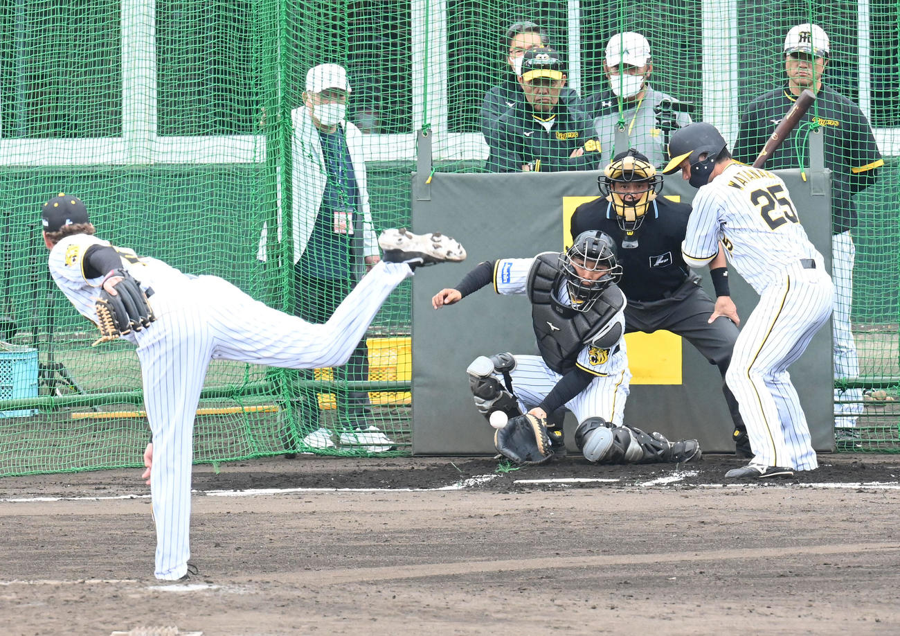 実戦形式の打撃練習に登板したB・ケラーの投球を見る岡田監督。打者は渡辺諒（撮影・前岡正明）