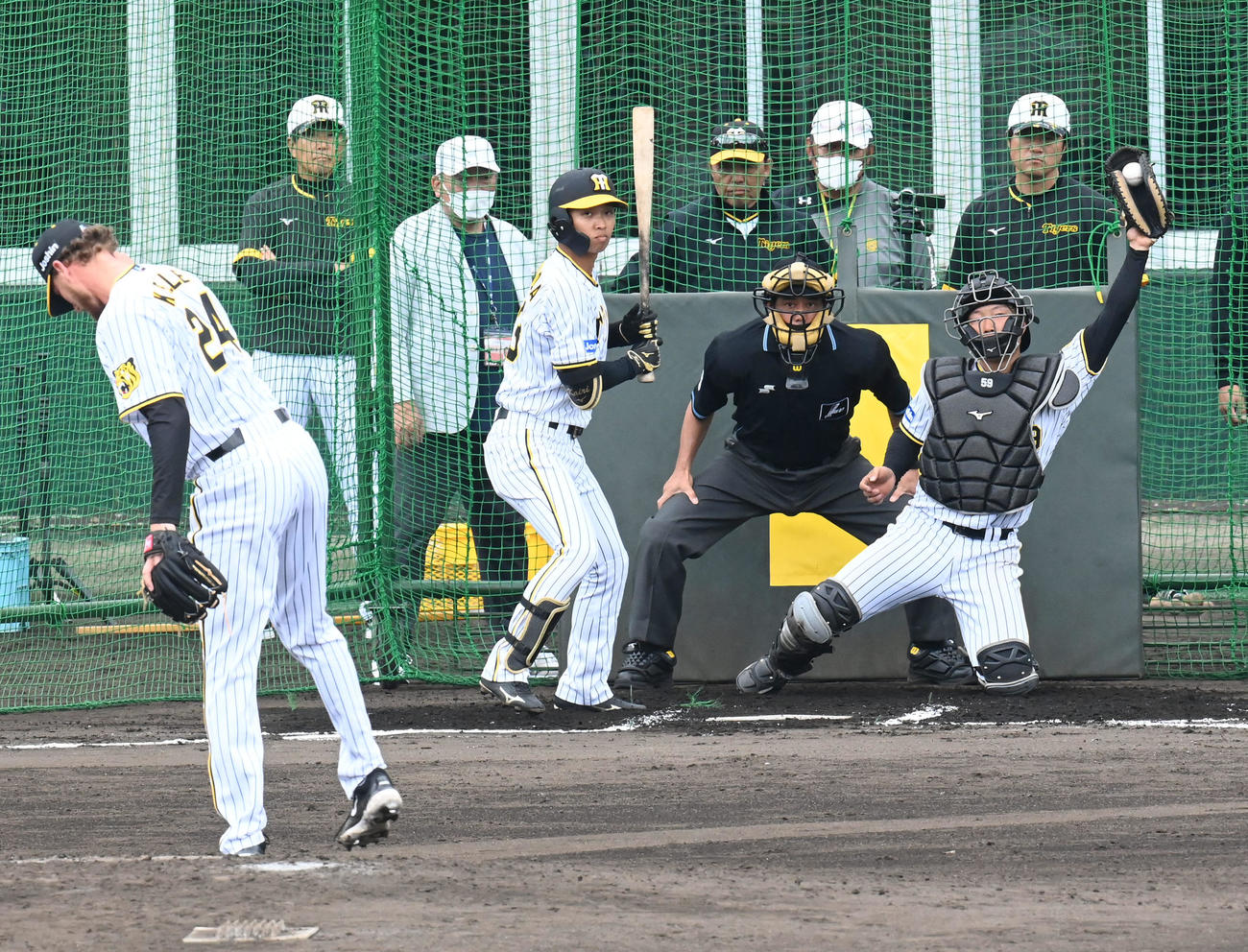 実戦形式の打撃練習でB・ケラーの投球を見る阪神岡田監督（後方中央）。打者島田（撮影・前岡正明）