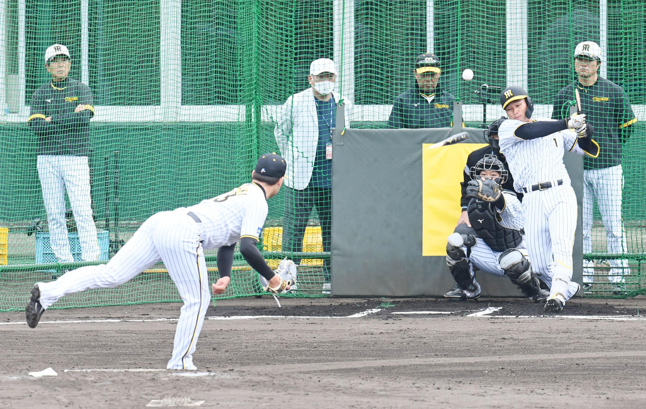 実戦形式の打撃練習で岩崎と対戦した森下はバットを折られる（撮影・前岡正明）