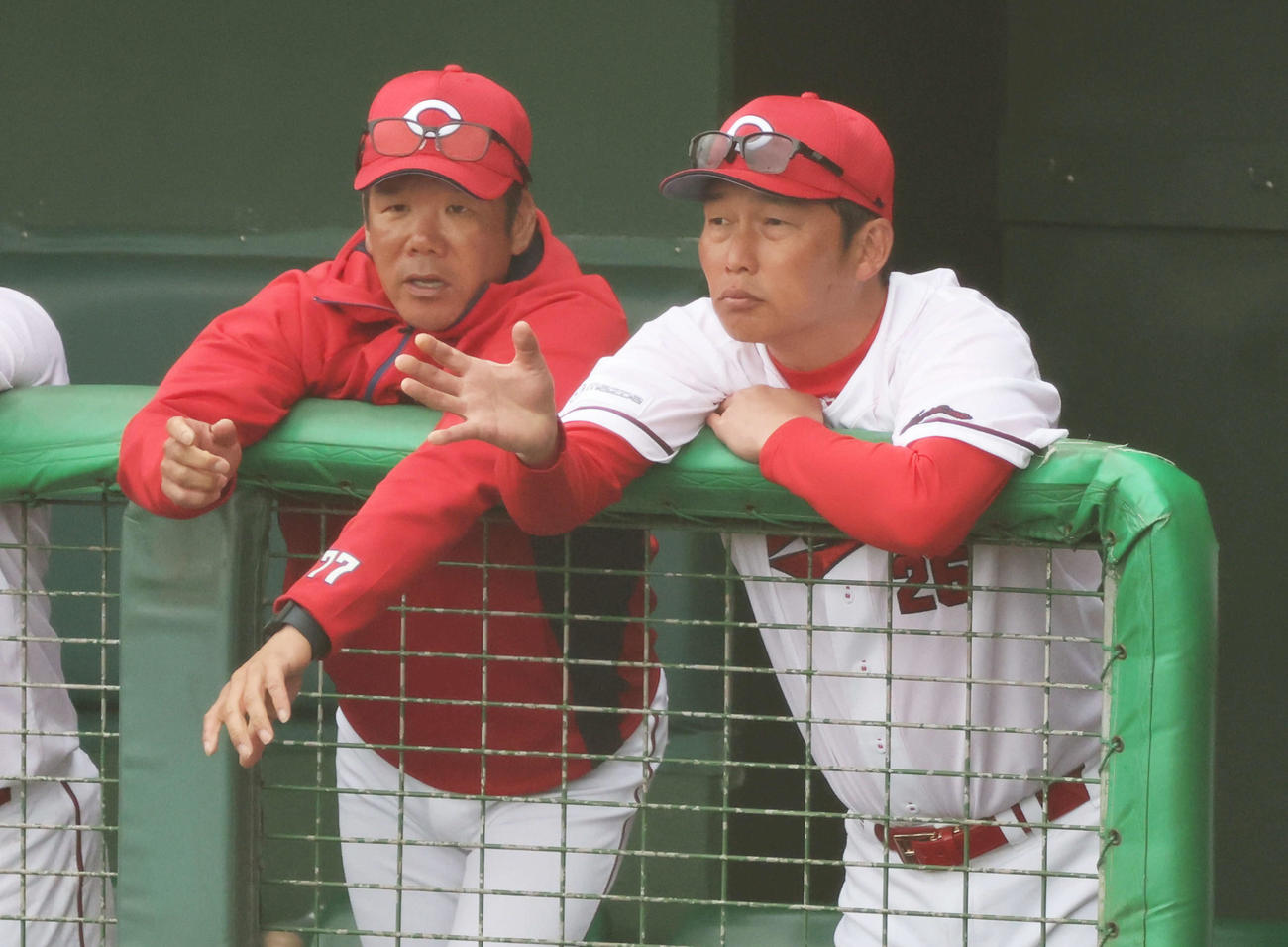 広島対ロッテ　9回裏広島、ベンチの新井監督（右）と藤井ヘッドコーチ（撮影・加藤孝規）