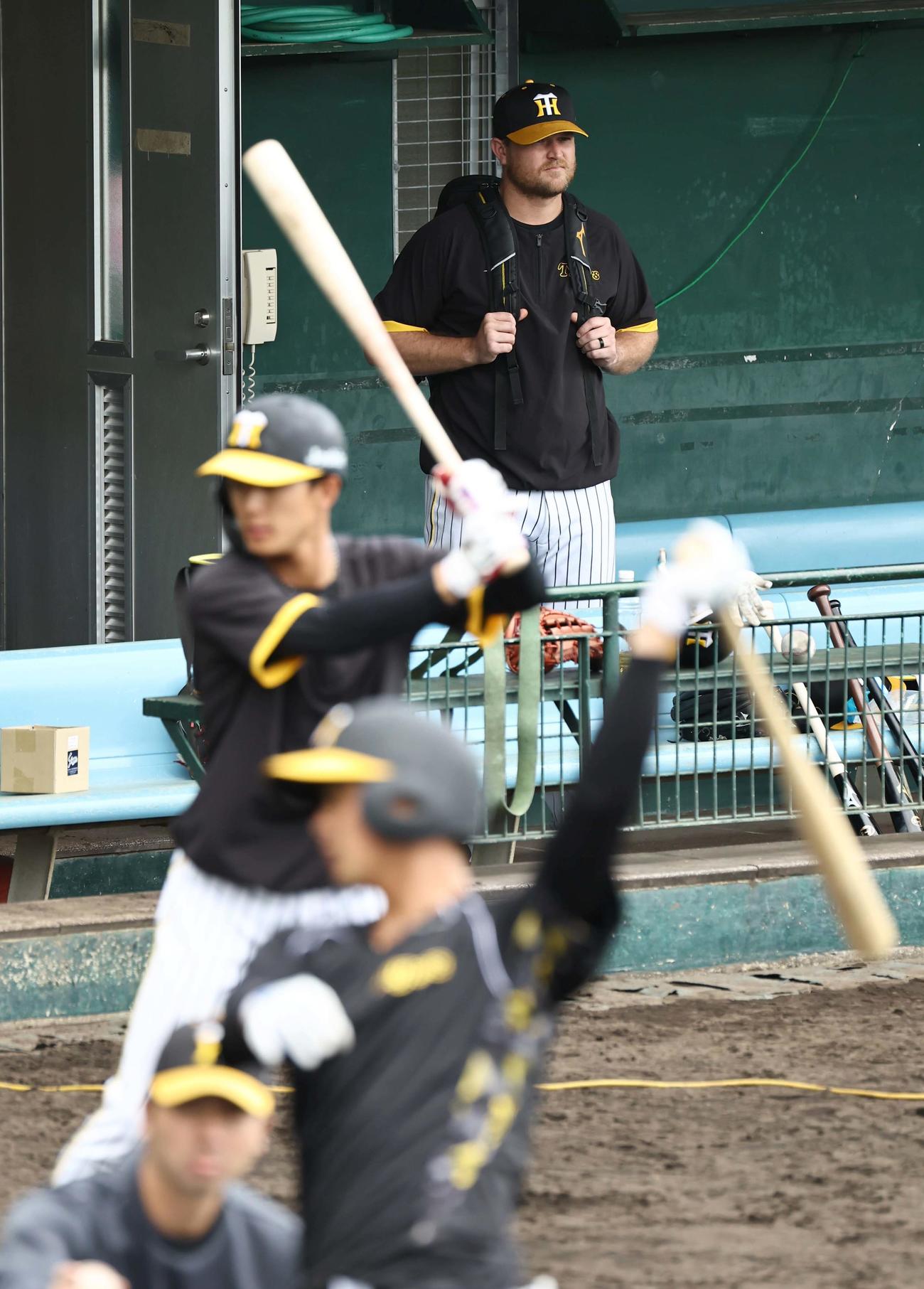 ベンチでリュックを背負うノイジーはナインの練習を見守る（撮影・上田博志）