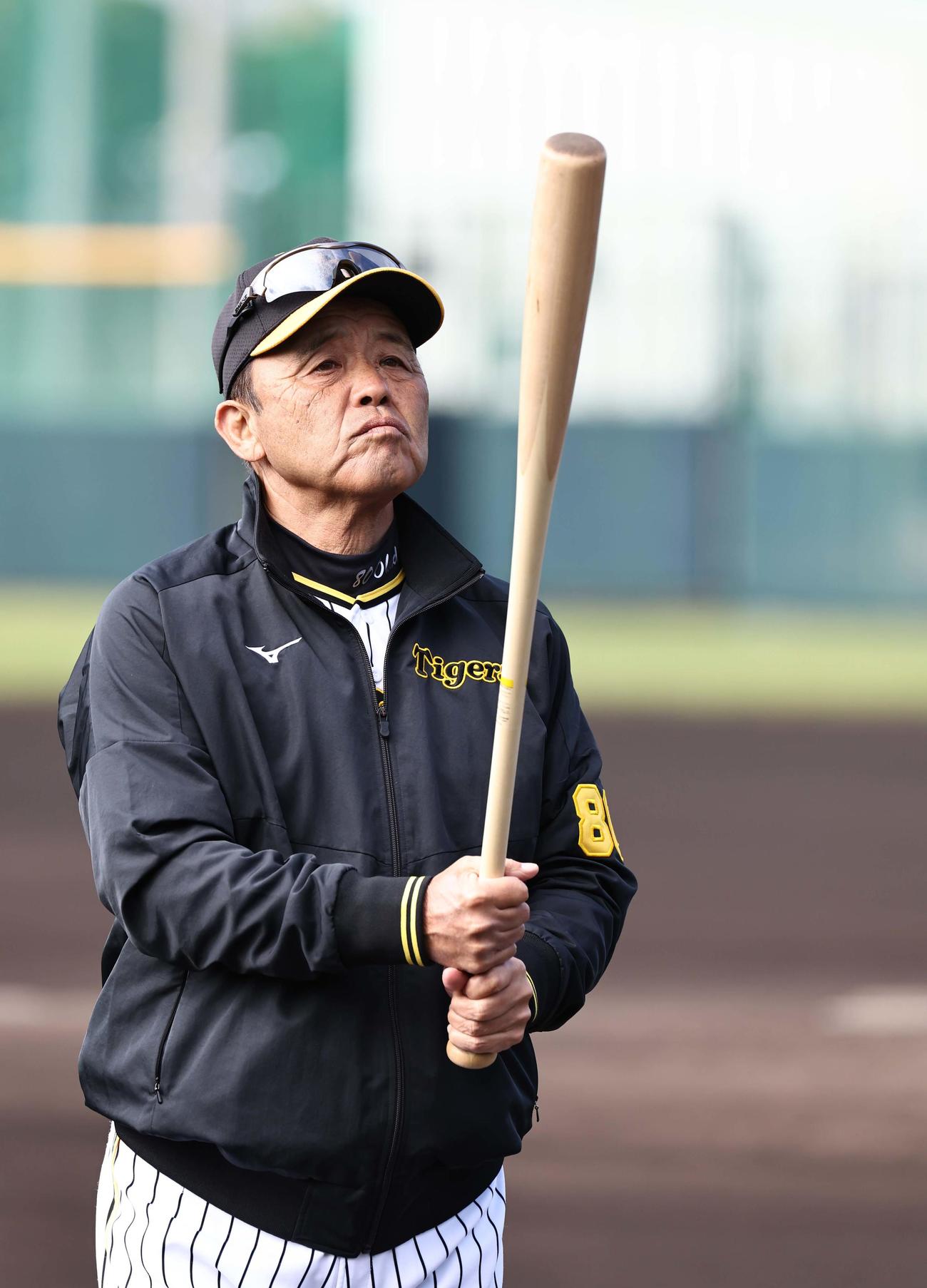 バットを手にグラウンドを移動する岡田監督（撮影・上田博志）