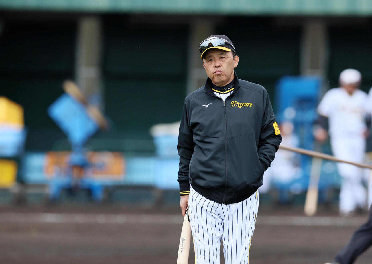 グラウンドを歩く岡田監督（撮影・加藤哉）