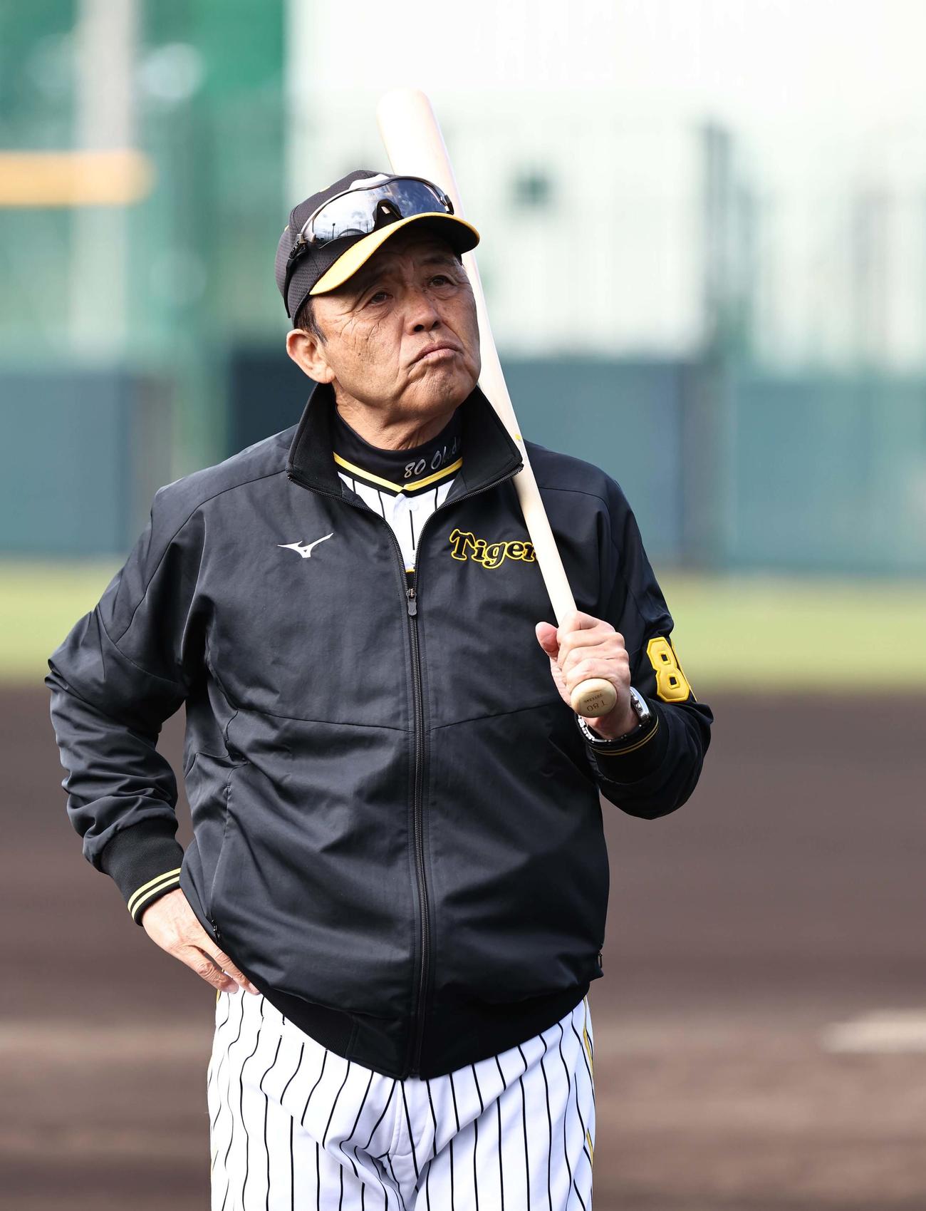 グラウンドを歩く岡田監督（撮影・上田博志）