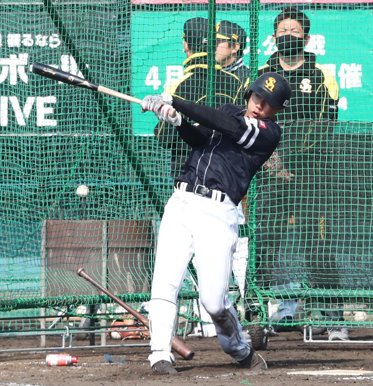 打撃練習を行う渡辺陸（撮影・梅根麻紀）
